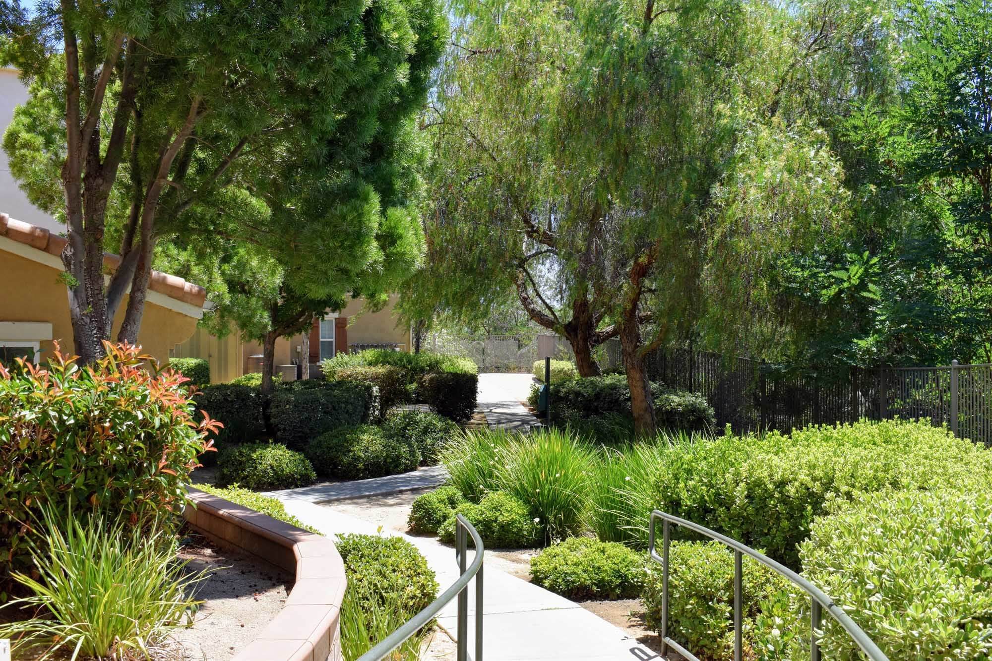 landscaped tree lined sidewalk leading to residential building